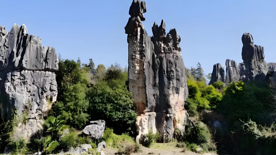 1-day tour to Kunming stone forest scenic area [optional premium small group | pure play tour]