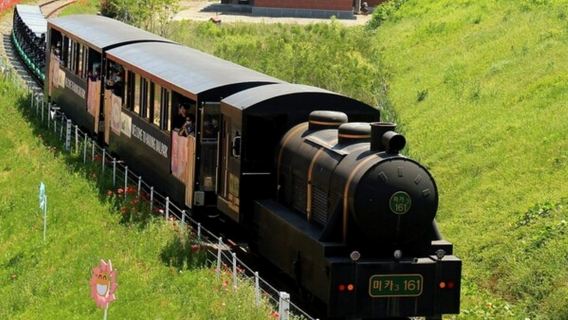 Hadong, Gyeongnam - Experiencia de teleférico y bicicleta sobre raíles