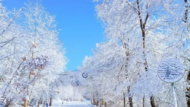 中國雪鄉【雪鄉內Trip.com專屬區-玩樂景區套票-2-8人小團】