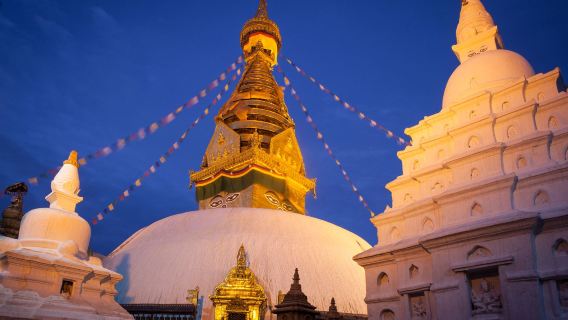 尼泊爾加德滿都王宮+猴廟+帕斯帕提那寺+博達哈大佛塔一日遊