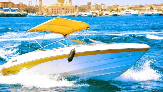 Hurghada Speedboating Tour in Egypt|Private Group: Half-Day Snorkeling Adventure with Dolphins