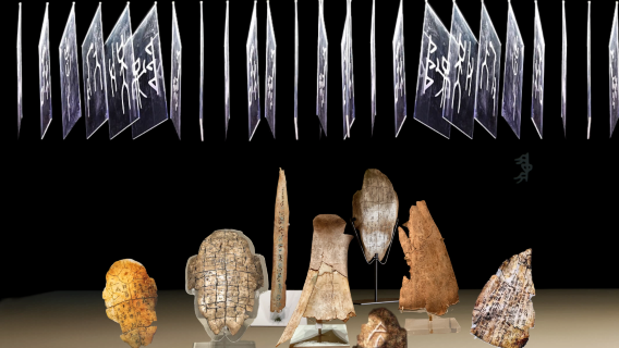 匠心說|殷墟博物館+王陵遺址+宮殿宗廟遺址【全線6H導覽】