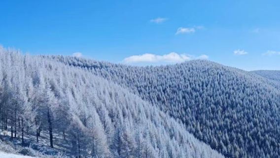 麻田嶺冬季健行賞雪1日【10公里初級徒步體驗】