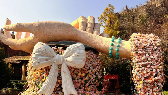 Changzhou Yancheng Wildlife Park + Tianning Temple Day Tour