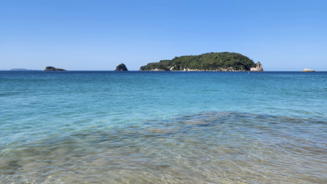 紐西蘭奧克蘭-漢密爾頓動物園-霍比特村【中文專車-愜意舒適】