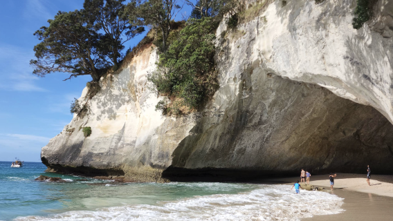 新西蘭奧克蘭-派希亞-90里海灘可定制【中文專車-愜意舒適】