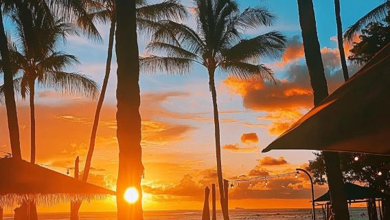 モーリシャス ▎ベ・デュ・カップ+ホエールウォッチング+ライオンウォーク【貸切チャーターワンデーツアー】