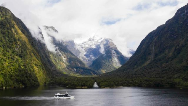 Milford Sound / Piopiotahi Cruise in New Zealand [Includes Boat Ticket + Lunch / Multiple Itinerary Options Available]