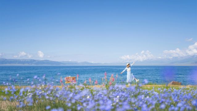 Lawatan Sehari dari Yining ke Tasik Sayram + Lembah Guozigou dengan Sewaan Peribadi dan Perkhidmatan Mesra - Itinerari Boleh Disesuaikan