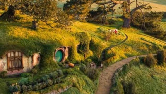 紐西蘭奧克蘭來回：哈比村+藍泉+漢密爾頓 中文包車行程可調