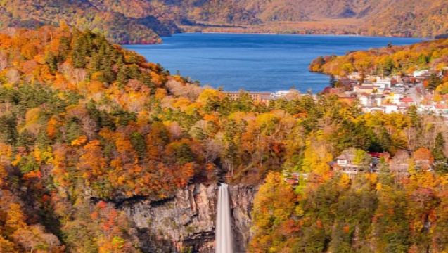 [9-person group/hotel pickup] Nikko 1-day tour: Toshogu Shrine + Kegon Waterfalls + Oya History Museum