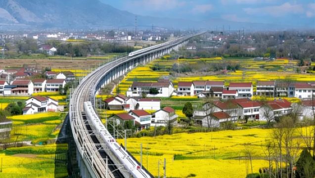 Lawatan sehari ke Xi'an pergi-balik Kaunti Yang untuk melihat bunga rapeseed, Taman Pear Ibis Jepun + Tasik Jinsha! Tempah sekarang untuk menyemak ketersediaan