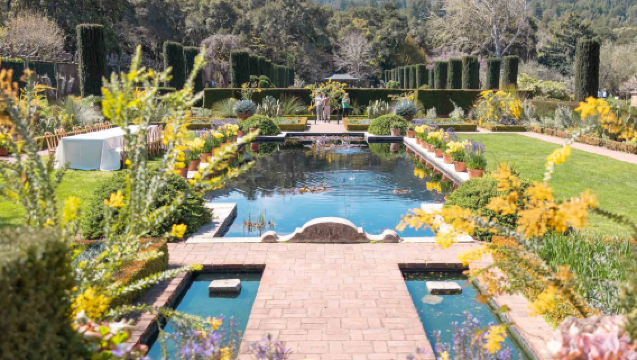 ทัวร์ 1 วัน ซานฟรานซิสโก สะพานโกลเดนเกต + ฟิลโอรีเอสเตท + มหาวิทยาลัยสแตนฟอร์ด + หาดฮาล์ฟมูนเบย์