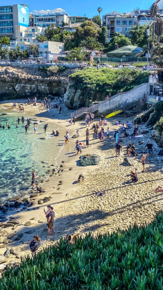 1-day tour to La Jolla Cove + USS Midway Museum + Unconditional Surrender + Old Town