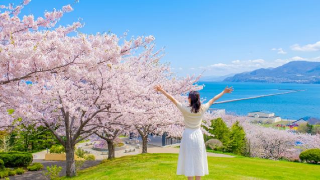 Hokkaidon kirsikkakausi-erikoinen: Päiväretki Kamui-misakille, Käsityöpuistoon, Tengu-vuorelle ja Yoichin tislaamoon