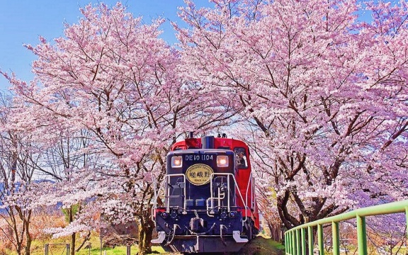 大阪出發雙古都-京都奈良萌鹿+伏見稻荷大社+嵐山小火車一日遊