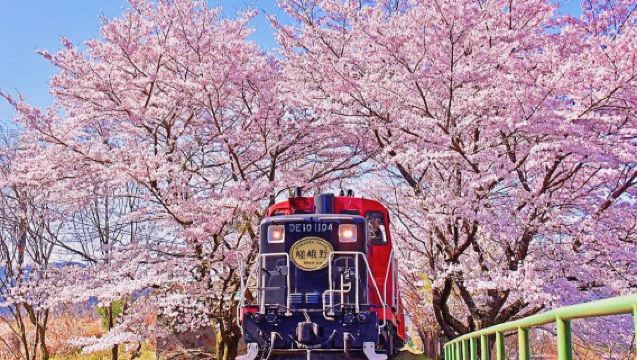 Tour di un giorno da Osaka alle antiche capitali Kyoto e Nara con i teneri cervi, Santuario di Fushimi Inari-taisha e trenino di Arashiyama