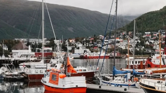 Norge - Tromsø: Oplev autentisk fiskeri med lokale fiskere | Lille engelsksproget gruppe