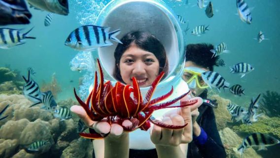 Phu Quoc SunWorld Hon Thom Marche sous-marine ou Plongée sous-marine avec Vidéo et Photo