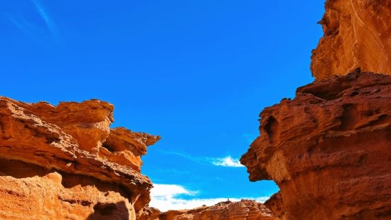Depart from Yinchuan · 1-day tour to Western dream grand canyon (western secret land · desert wonder canyon)