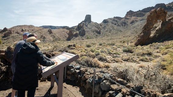 Teide- und Masca-Tour ab dem Norden Teneriffas
