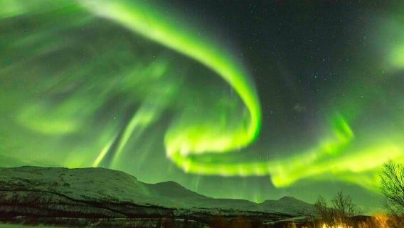 Passeio noturno para ver a Aurora Boreal em Reykjavik, Islândia (com guia profissional + espera na natureza + espetáculo deslumbrante das luzes do norte + bebida quente inclusa)