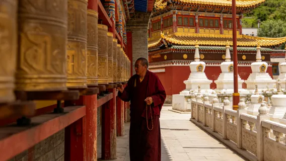 Qinghai | business interpretation | travel interpretation | exhibition interpretation | customize itinerary