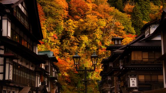 [Guaranteed departure] Ginzan Onsen and Naruko Valley autumn foliage scenic tour - Tohoku autumn leaves day trip! [Departing from Sendai]
