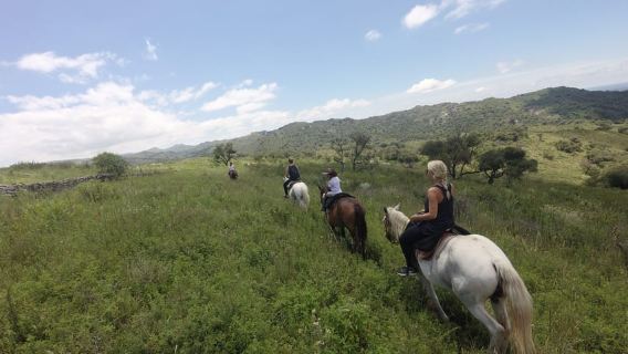 Córdoba: Horseback Riding with BBQ Lunch