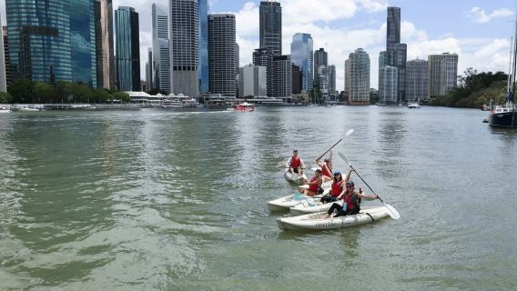 Brisbane: 2-Hour Kayak Hire on Brisbane River