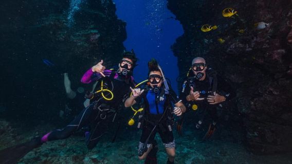 Maui: Intro to Scuba Diving from Shore - Lahaina