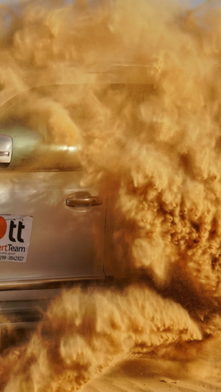 Desert Safari Including Dune Bashing, BBQ Dinner, Live Shows (Belly Dance, etc)
