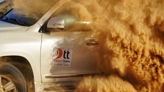 Desert Safari Including Dune Bashing, BBQ Dinner, Live Shows (Belly Dance, etc)