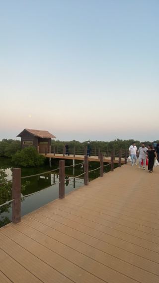 북부 카타르 문화 유산 투어: 주바라 요새(Zubarah Fort), 주메일(Jumail) & 맹그로브 숲