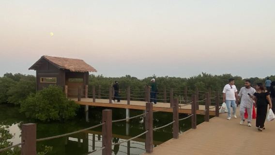 North Qatar Heritage Tour: Zubarah Fort, Jumail & Mangroves
