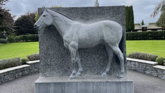 愛爾蘭都柏林基爾代爾購物村+愛爾蘭國家馬場-中文包車-甄選
