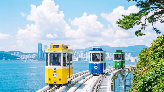日本語ガイドと行く釜山日帰りツアー：甘川洞文化村 & スカイカプセルオプション