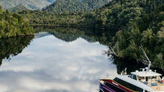 Tasmania: Gordon River Cruise from Strahan + Guided Tour + Lunch