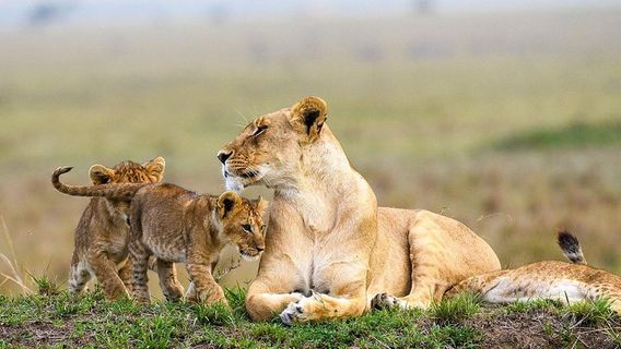 NairobiTours