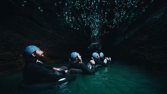 Waitomo CavesTours