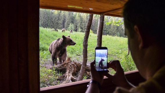 BrasovTours