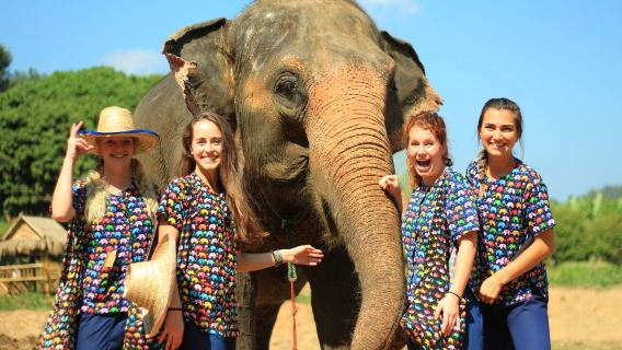 泰國清邁Kerchor elephant eco park一日遊【/中文導遊/含酒店接送】