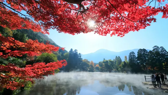 Beppu Kinrin Lake Autumn Viewing + Hells of Beppu + Kyushu Wildlife Park African Safari 1-day Tour