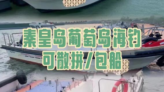 河北秦皇島葡萄島海釣觀光體驗/海上漁民體驗【3小時出海海釣/200馬力快艇/專業船長教學】