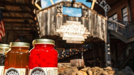 Nashville: Soul of Music City Night Tour