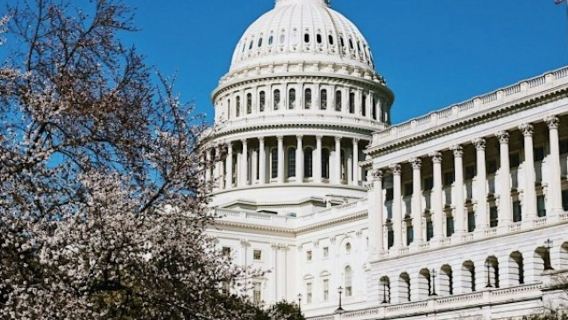 Capitol Hill: tour guidato a piedi per piccoli gruppi
