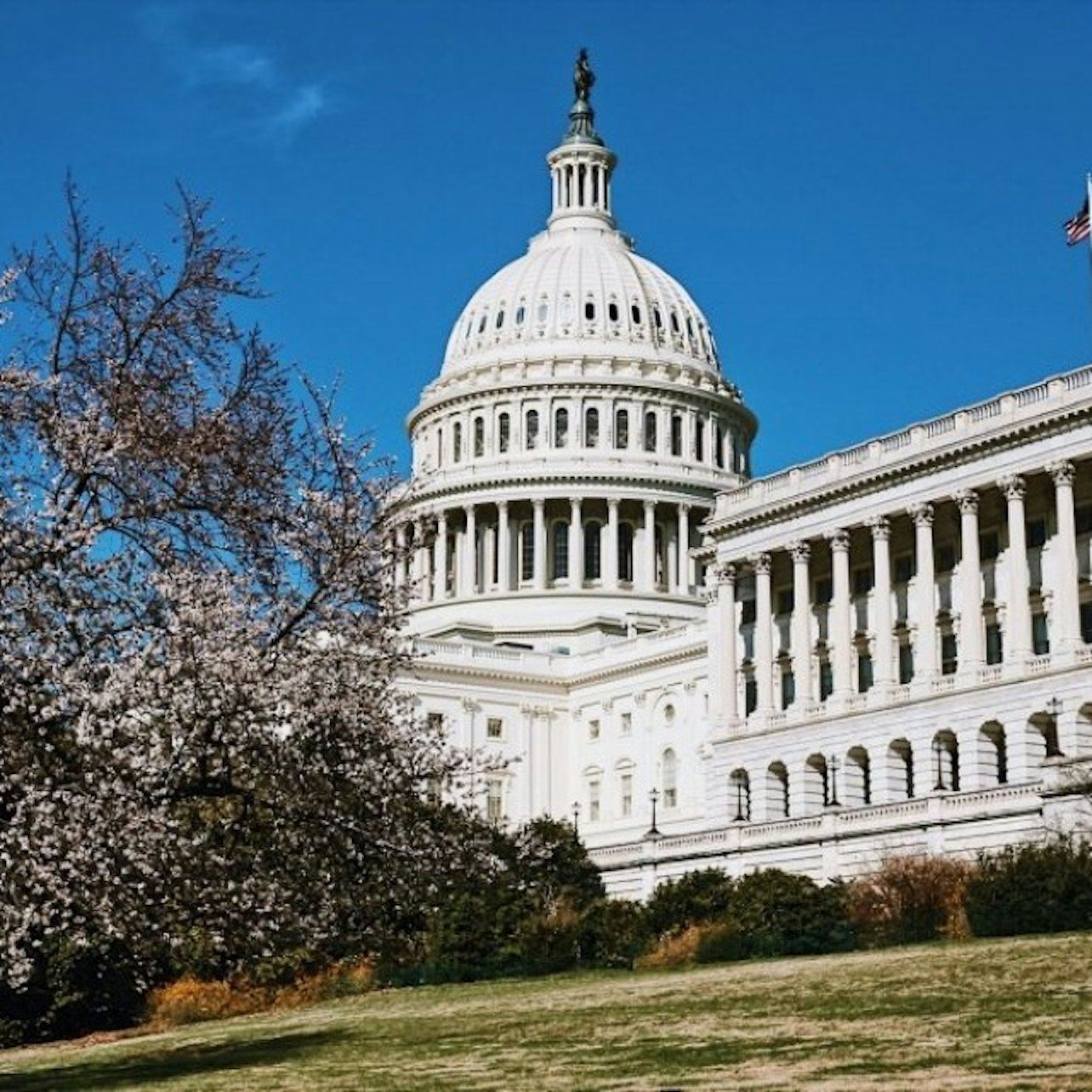 Capitol Hill: Visita guiada a pie para grupos pequeños