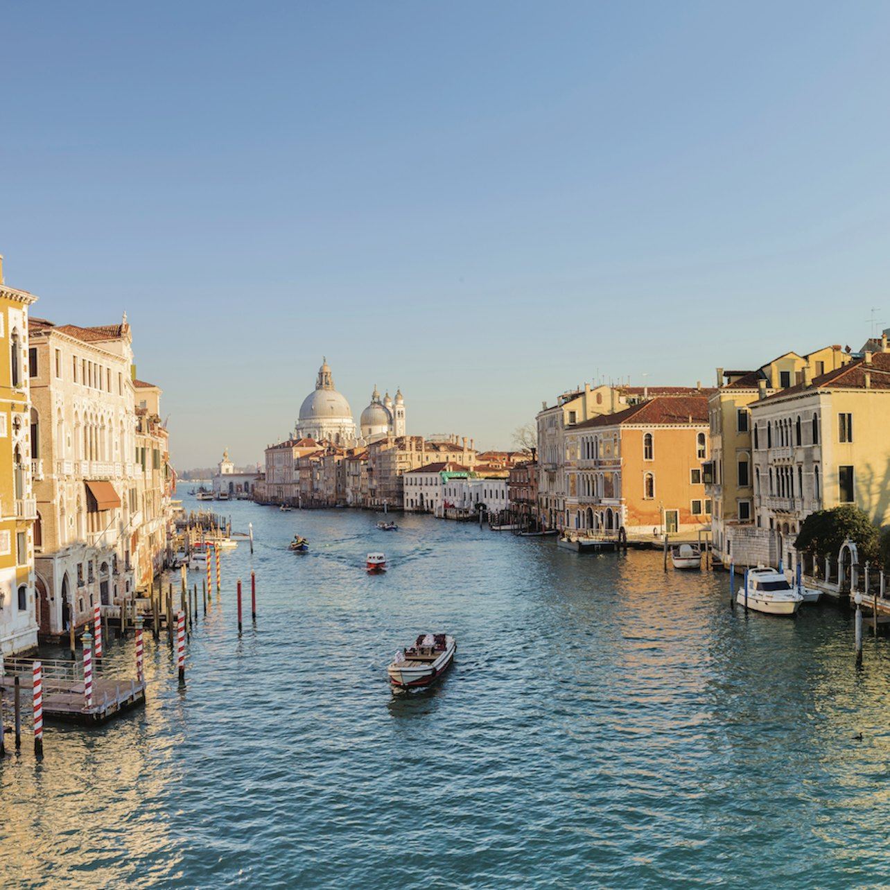 Venice Grand Canal: Guided Boat Tour for Small Group