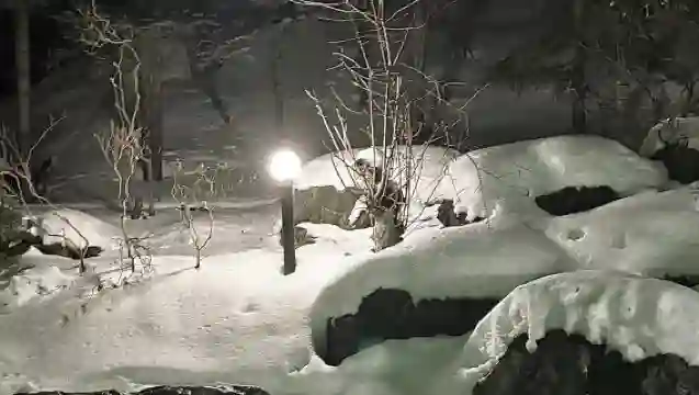 日本登別小樽洞爺湖地獄谷-可札幌富良野美瑛北海道包車精選