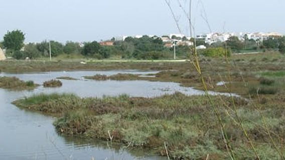 PortimaoExperiences